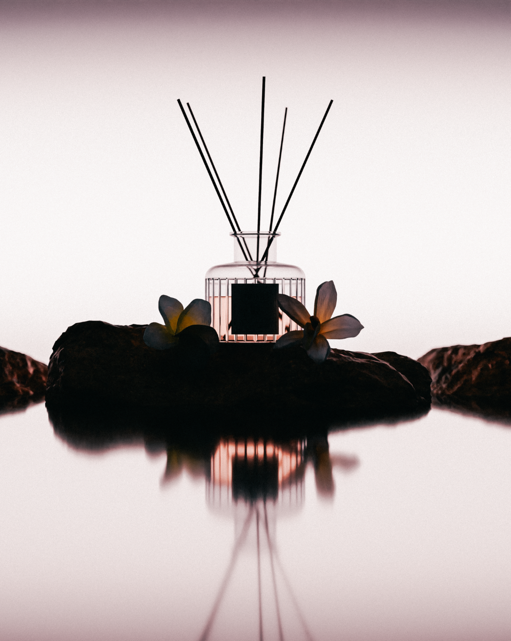 Process — Reference